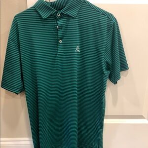 Men's Green Performance Striped Polo Shirt